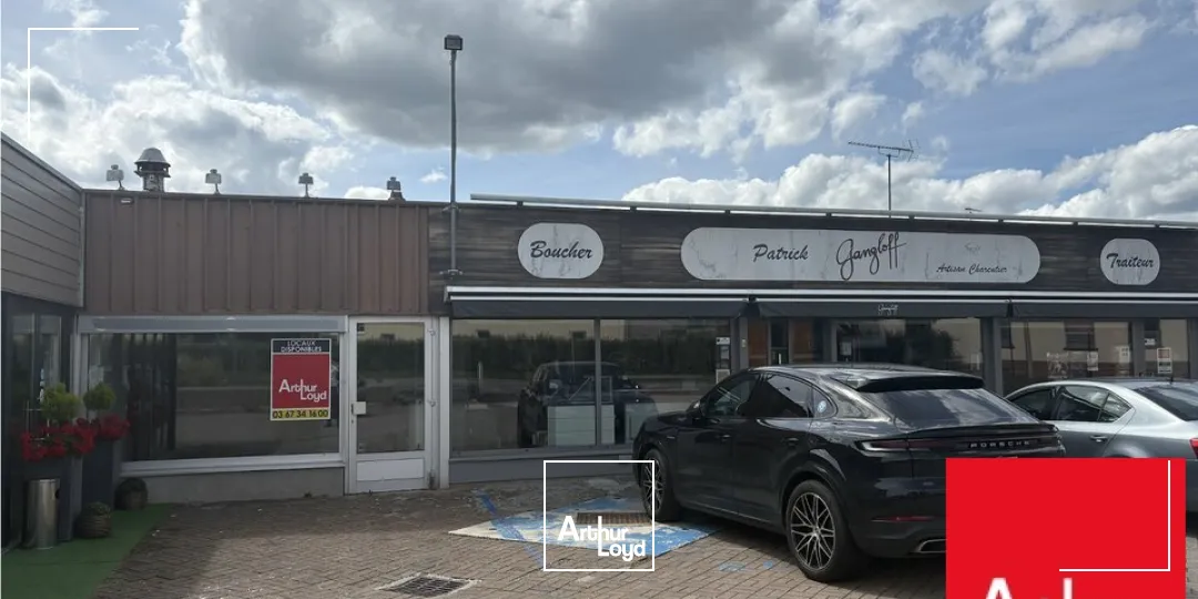 Locaux d'activité & Entrepôts - Vente - SARRE-UNION - 67260 - 653-653 - 7786024