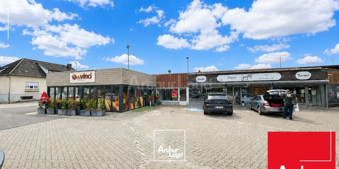 Locaux d'activité & Entrepôts - Vente - SARRE-UNION - 67260 - 653-653 - 7786018