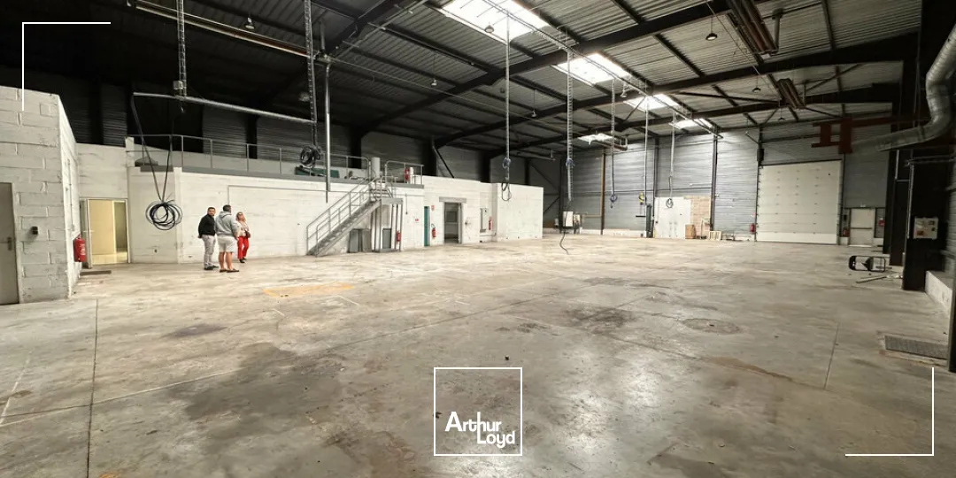 Locaux d'activité & Entrepôts - Location - REIMS - 51100 - 1000-1000 - 7786100