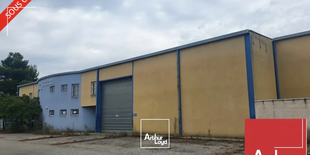 Locaux d'activité & Entrepôts - Vente - SAINT PAUL TROIS CHATEAUX - 26130 - 1270-1270 - 7787894