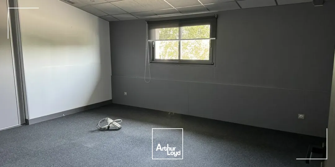 Locaux d'activité & Entrepôts - Location - SAINT-CYR-SUR-LOIRE - 37540 - 600-600 - 7788136