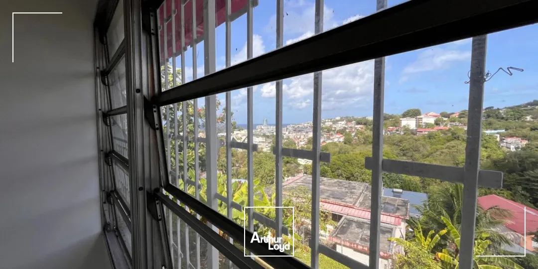 Locaux commerciaux - Location - Fort De France - 97200 - 42-42 - 7788955