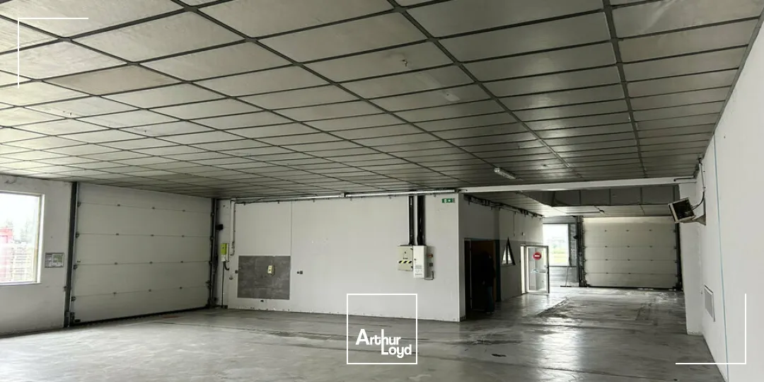 Locaux commerciaux - Location - ILLZACH - 68110 - 378-378 - 7789021