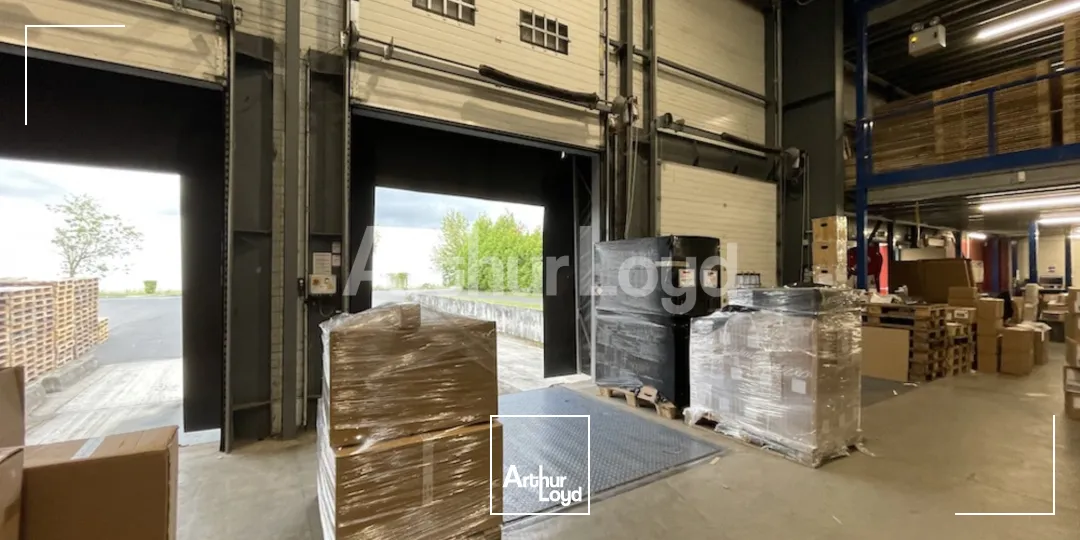 Locaux d'activité & Entrepôts - Location - SARS ET ROSIERES - 59230 - 4152-4152 - 7789538