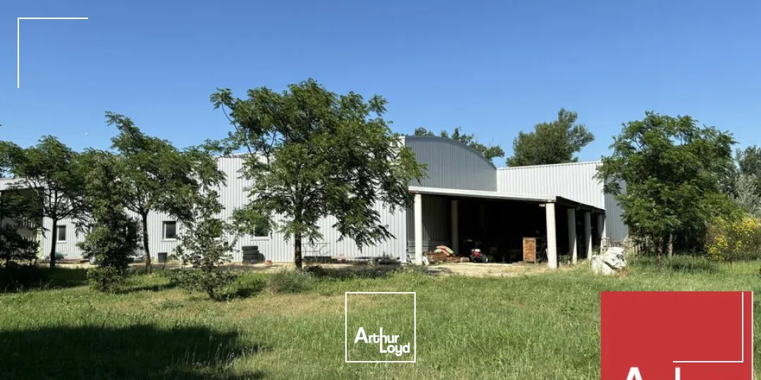Locaux d'activité & Entrepôts - Location - PIERRELATTE - 26700 - 979-979 - 7789708