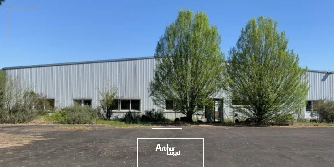 Locaux d'activité & Entrepôts - Vente - ALLASSAC - 19240 - 3587-3587 - 7789828