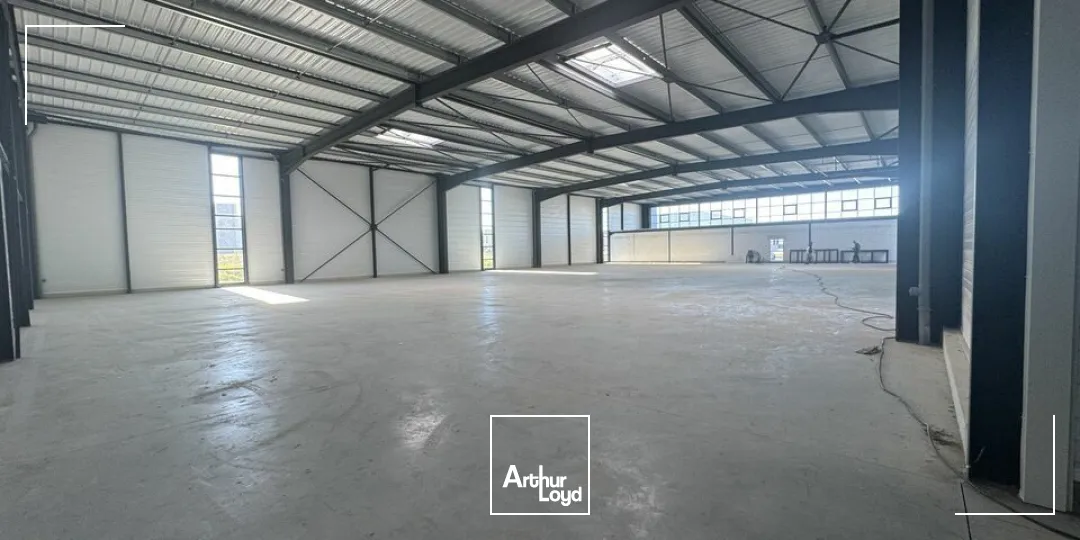 Locaux d'activité & Entrepôts - Vente - PARCAY MESLAY - 37210 - 1640-1640 - 7790005