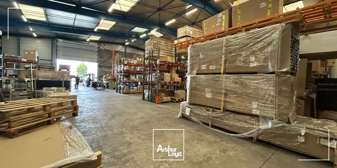 Locaux d'activité & Entrepôts - Location - SAINTE LUCE SUR LOIRE - 44980 - 1348-1348 - 7790339