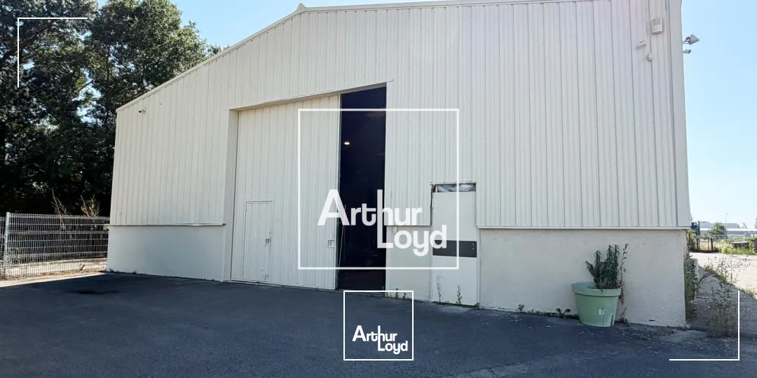 Locaux d'activité & Entrepôts - Location - SAINT ORENS DE GAMEVILLE - 31650 - 450-450 - 7791445