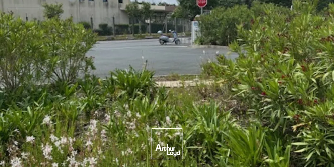 Bureaux - Vente - ANGLET - 64600 - 120-120 - 7792403