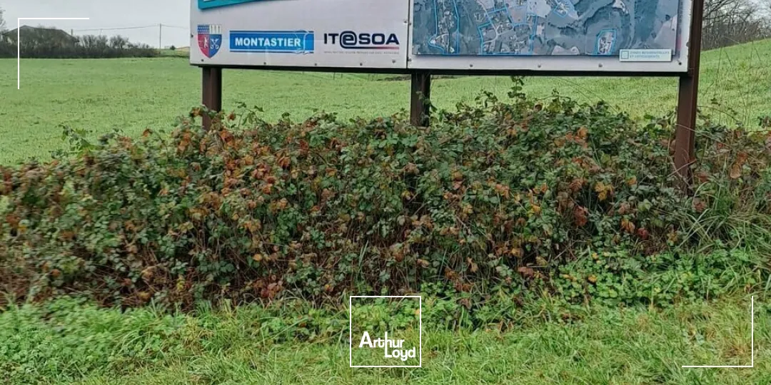 Terrains - Vente - TERRASSON-LAVILLEDIEU - 24120 - 24000-24000 - 7793414
