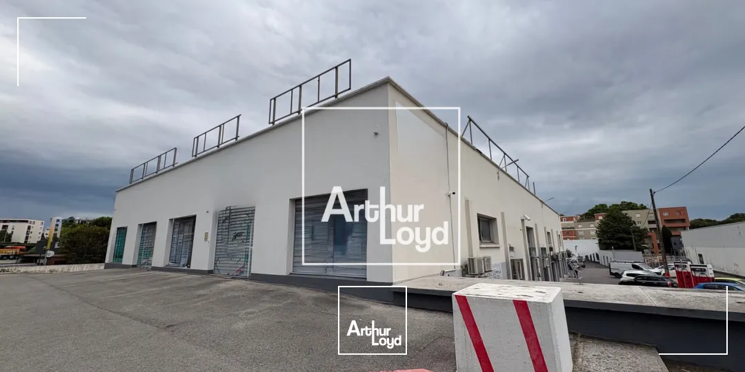 Locaux commerciaux - Location - MONTPELLIER - 34070 - 1000-1000 - 7793729