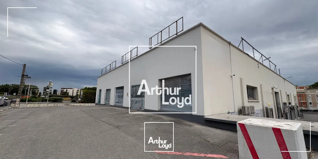 Locaux commerciaux - Location - MONTPELLIER - 34070 - 1000-1000 - 7793728