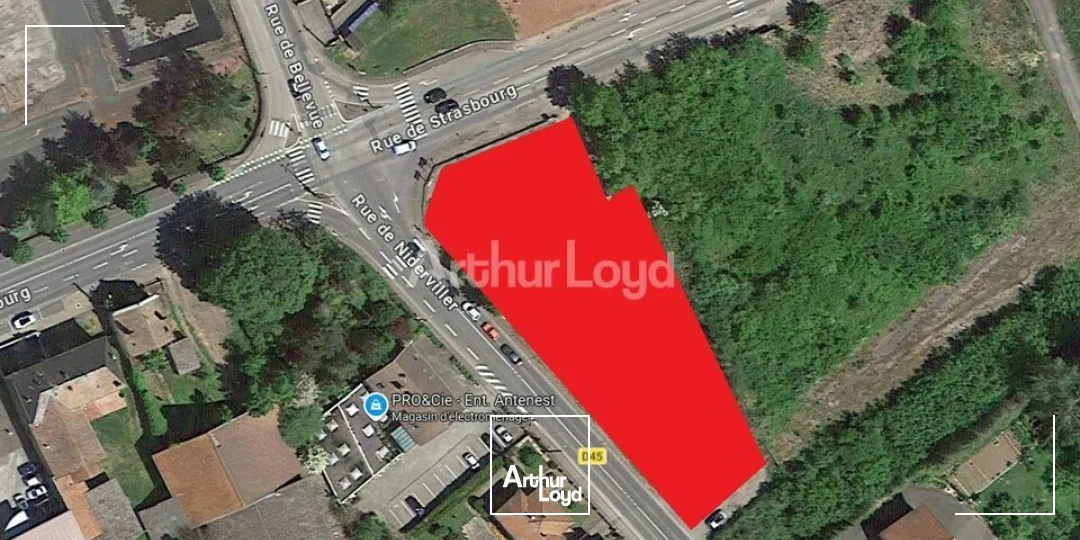 Locaux commerciaux - Location - SARREBOURG - 57400 - 360-360 - 7794315
