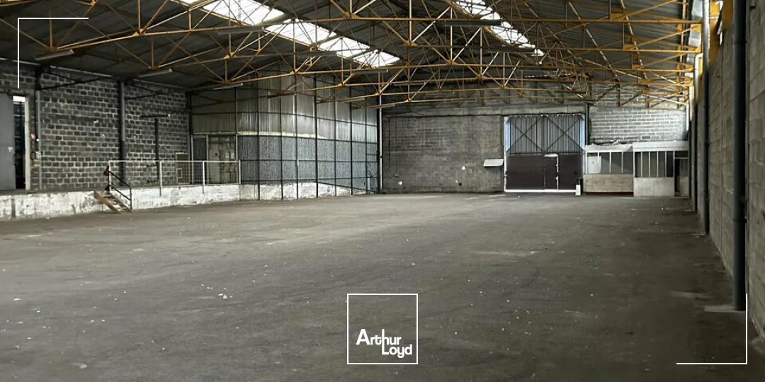 Bureaux - Location - BRIVE-LA-GAILLARDE - 19100 - 1230-1230 - 7794339