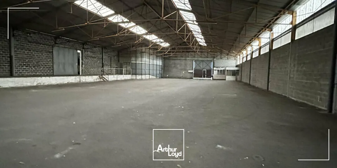 Bureaux - Location - BRIVE-LA-GAILLARDE - 19100 - 1230-1230 - 7794341