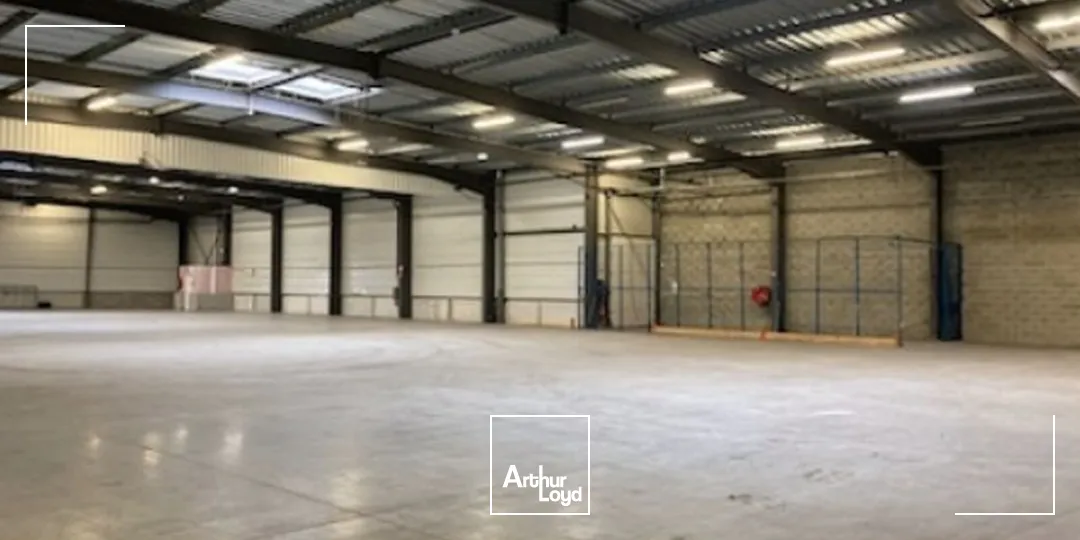 Locaux commerciaux - Location - LE HAILLAN - 33185 - 1470-1470 - 7794580