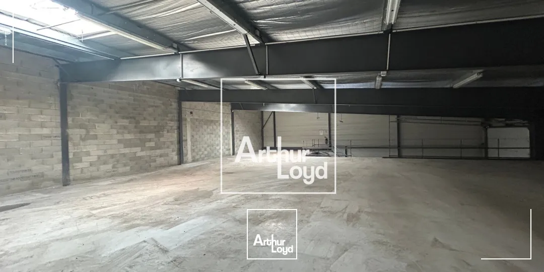 Locaux d'activité & Entrepôts - Vente - SAINT JEAN DE VEDAS - 34430 - 2316-2316 - 7794671