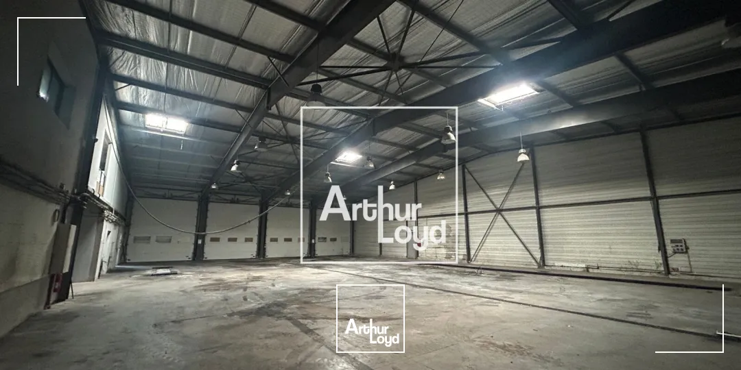 Locaux d'activité & Entrepôts - Vente - SAINT JEAN DE VEDAS - 34430 - 2316-2316 - 7794676