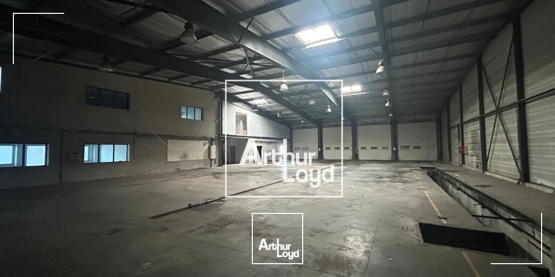 Locaux d'activité & Entrepôts - Vente - SAINT JEAN DE VEDAS - 34430 - 2316-2316 - 7794677