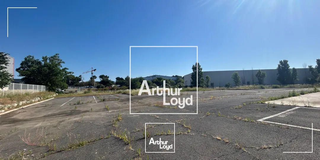 Locaux d'activité & Entrepôts - Vente - SAINT JEAN DE VEDAS - 34430 - 2316-2316 - 7794678
