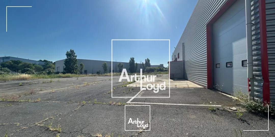 Locaux d'activité & Entrepôts - Vente - SAINT JEAN DE VEDAS - 34430 - 2316-2316 - 7794669