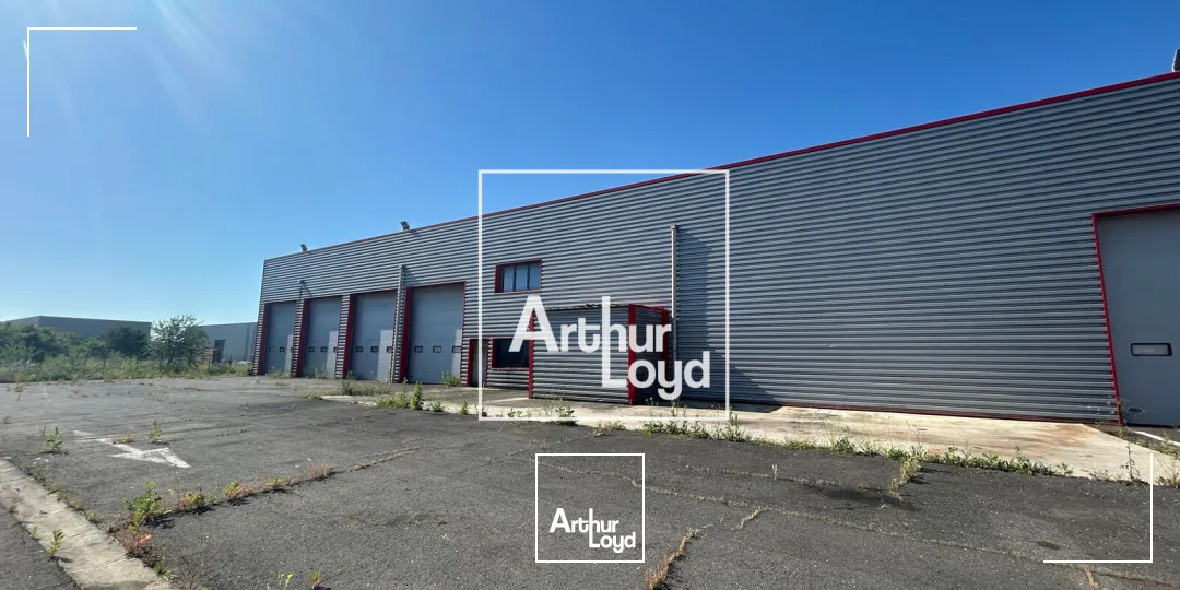 Locaux d'activité & Entrepôts - Vente - SAINT JEAN DE VEDAS - 34430 - 2316-2316 - 7794679