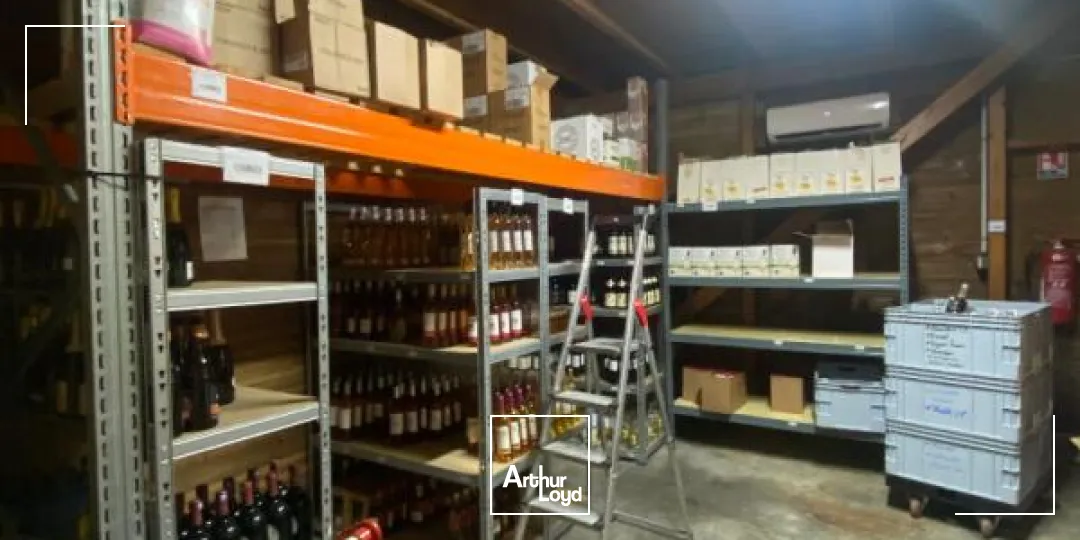 Locaux d'activité & Entrepôts - Location - Sainte Luce - 97228 - 265-265 - 7795145