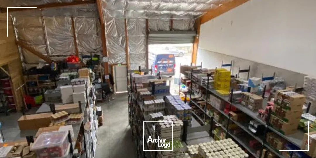 Locaux d'activité & Entrepôts - Location - Sainte Luce - 97228 - 265-265 - 7795148