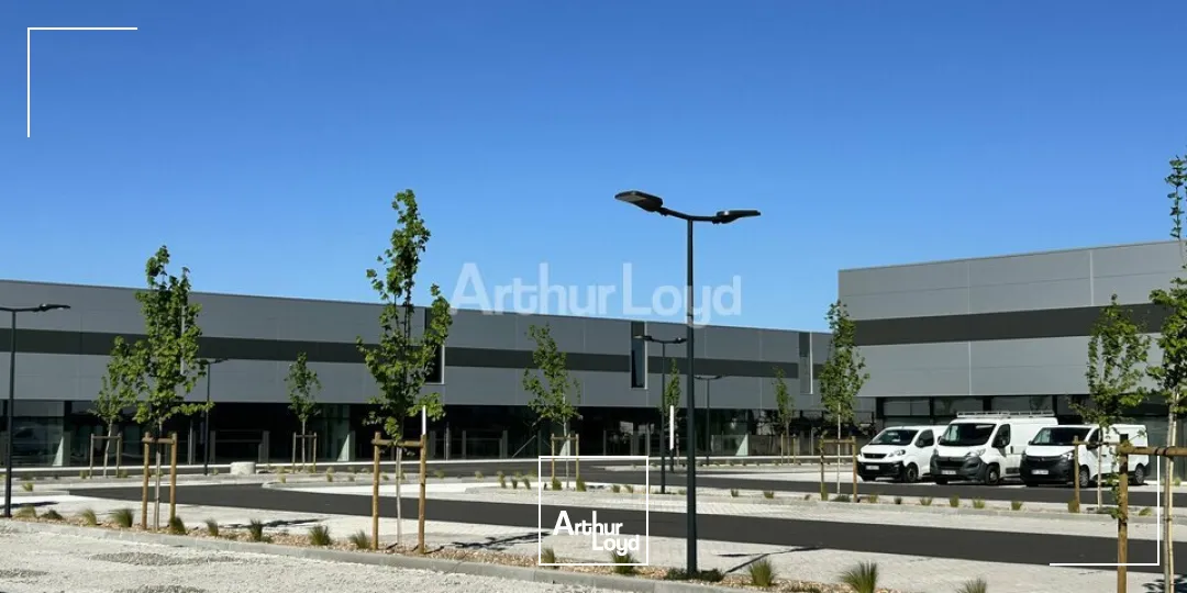 Locaux commerciaux - Location - COLMAR - 68000 - 129-419 - 7795190