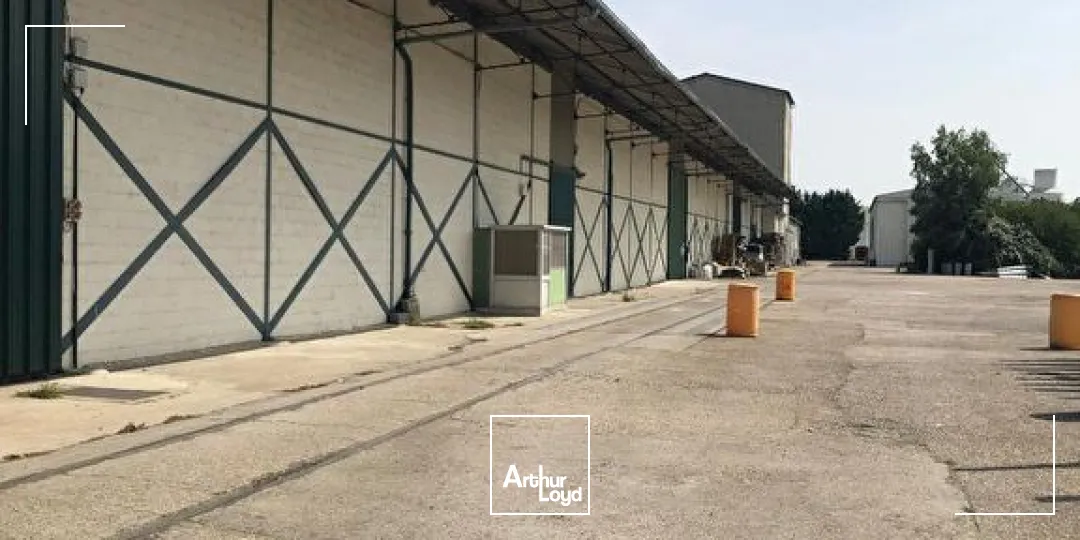 Locaux d'activité & Entrepôts - Vente - SAINT PIERRE DES CORPS - 37700 - 6226-6226 - 7796096