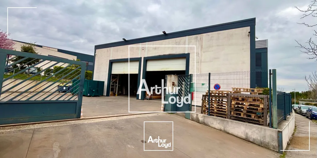 Locaux d'activité & Entrepôts - Location - MONTPELLIER - 34080 - 552-552 - 7796154