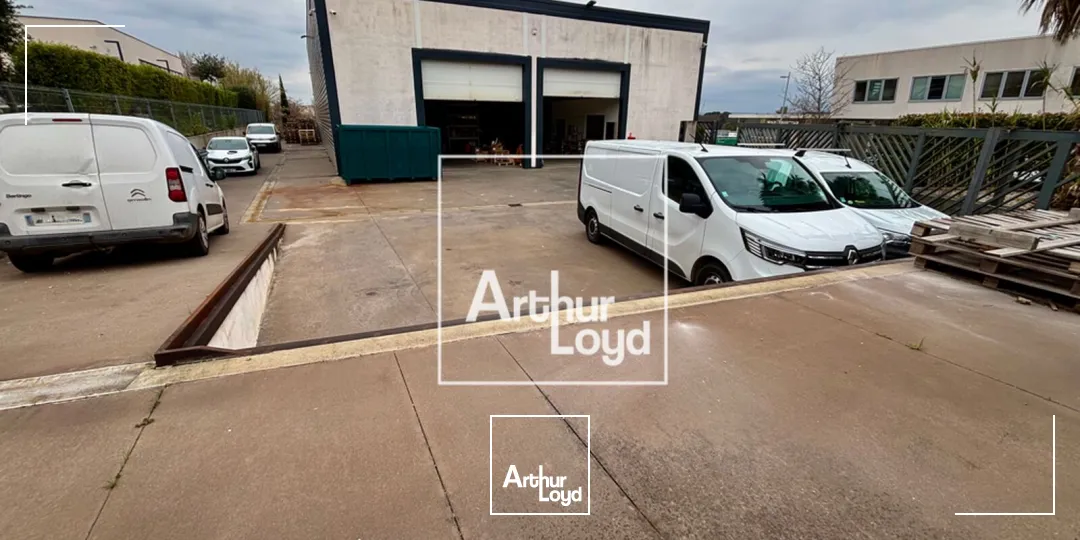 Locaux d'activité & Entrepôts - Location - MONTPELLIER - 34080 - 552-552 - 7796155