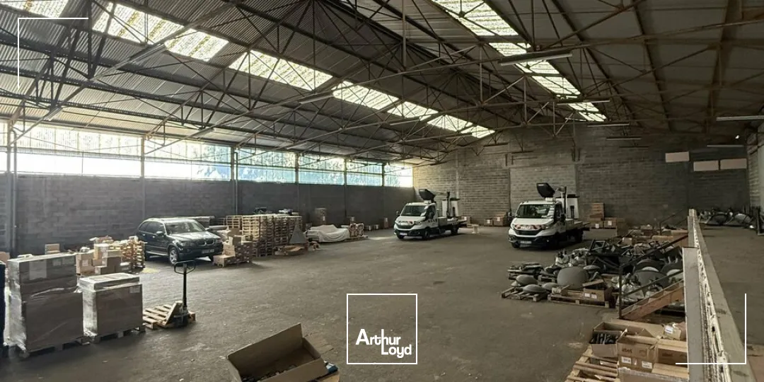 Bureaux - Location - BRIVE-LA-GAILLARDE - 19100 - 1230-1230 - 7796821