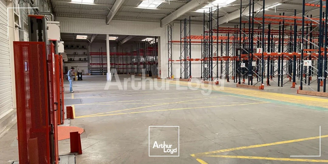 Locaux d'activité & Entrepôts - Location - RAILLENCOURT SAINTE OLLE - 59554 - 1250-1250 - 7797371