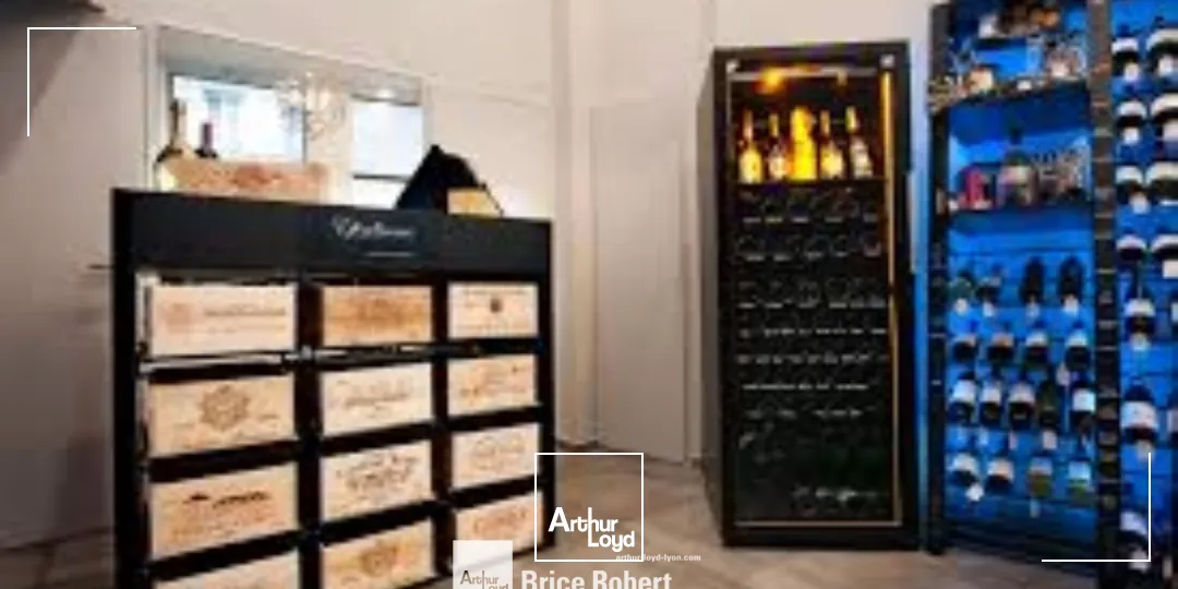 Locaux commerciaux - Location - LYON - 69002 - 32-32 - 7797451
