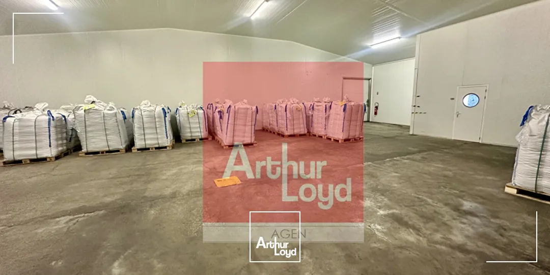 Locaux d'activité & Entrepôts - Location - BON ENCONTRE - 47240 - 1000-1000 - 7798702