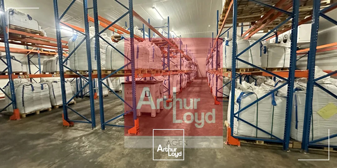 Locaux d'activité & Entrepôts - Location - BON ENCONTRE - 47240 - 1000-1000 - 7798703