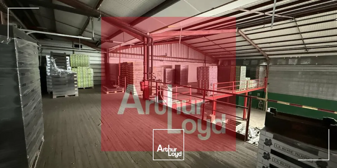 Locaux d'activité & Entrepôts - Vente - LAFRANCAISE - 82130 - 2890-2890 - 7799064
