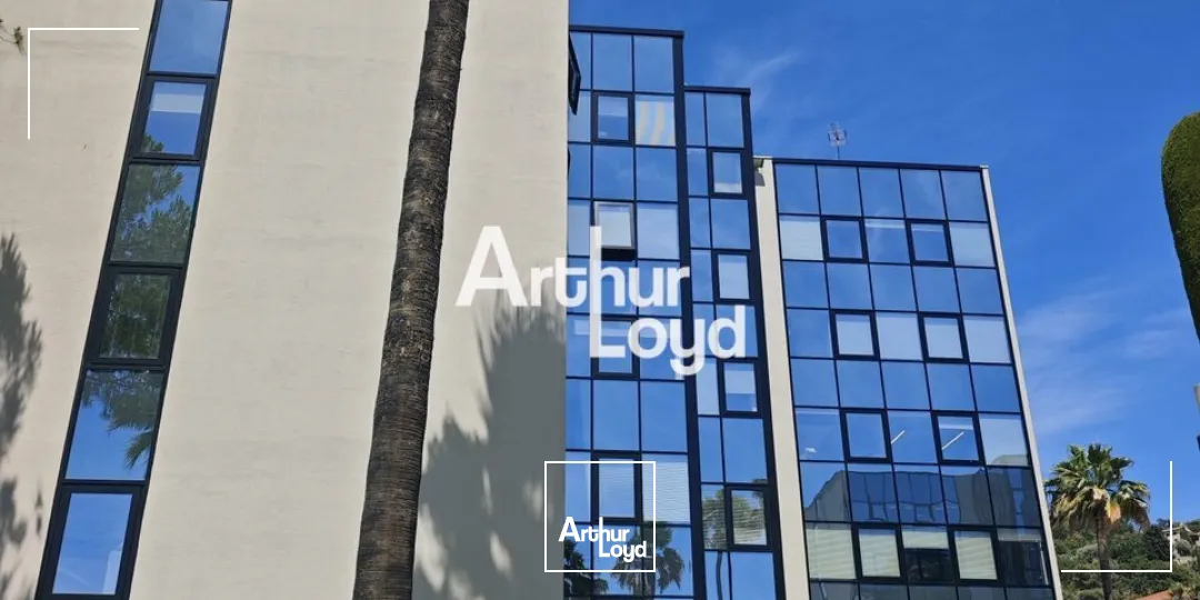 Bureaux - Location - NICE - 06200 - 36-927 - 7799126