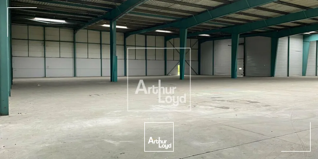 Locaux d'activité & Entrepôts - Location - LIEUSAINT - 77127 - 824-824 - 7799205