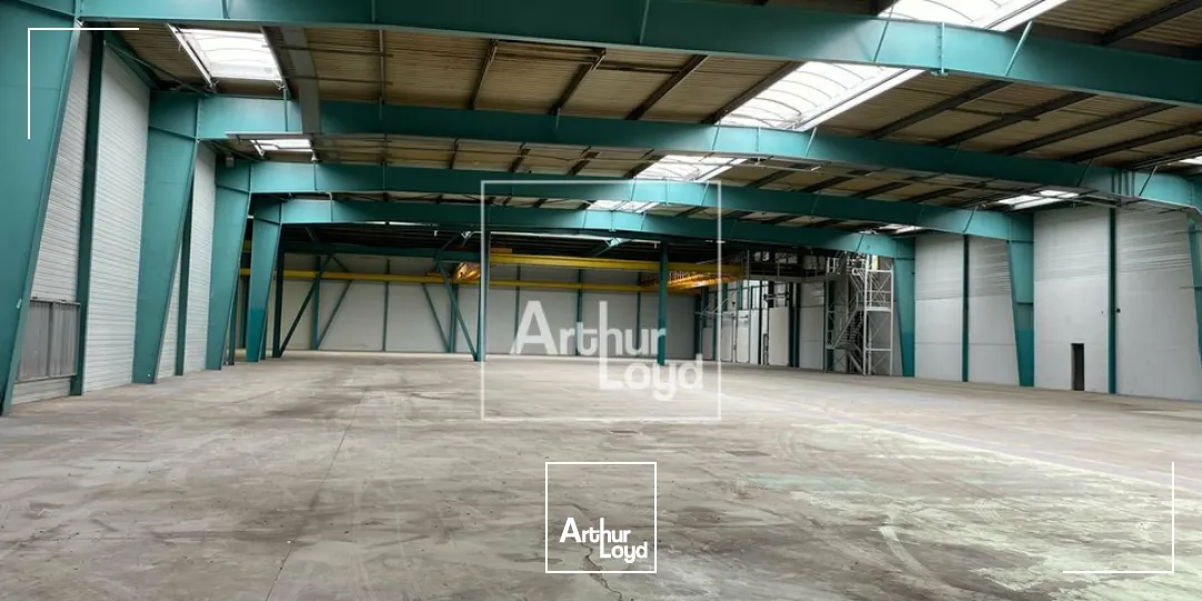 Locaux d'activité & Entrepôts - Location - LIEUSAINT - 77127 - 824-824 - 7799206