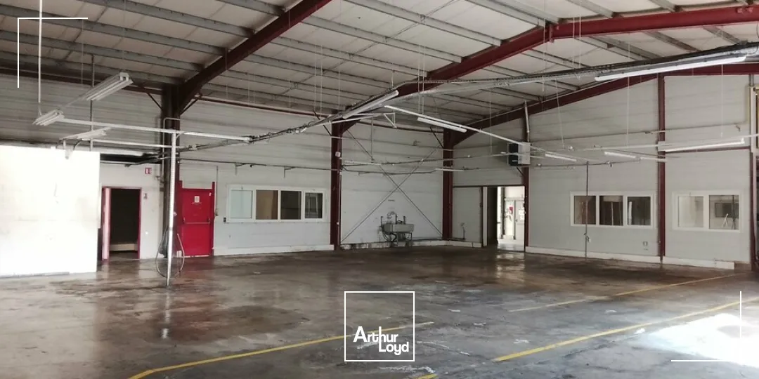 Locaux d'activité & Entrepôts - Location - CRISSEY - 71530 - 1360-1360 - 7800032
