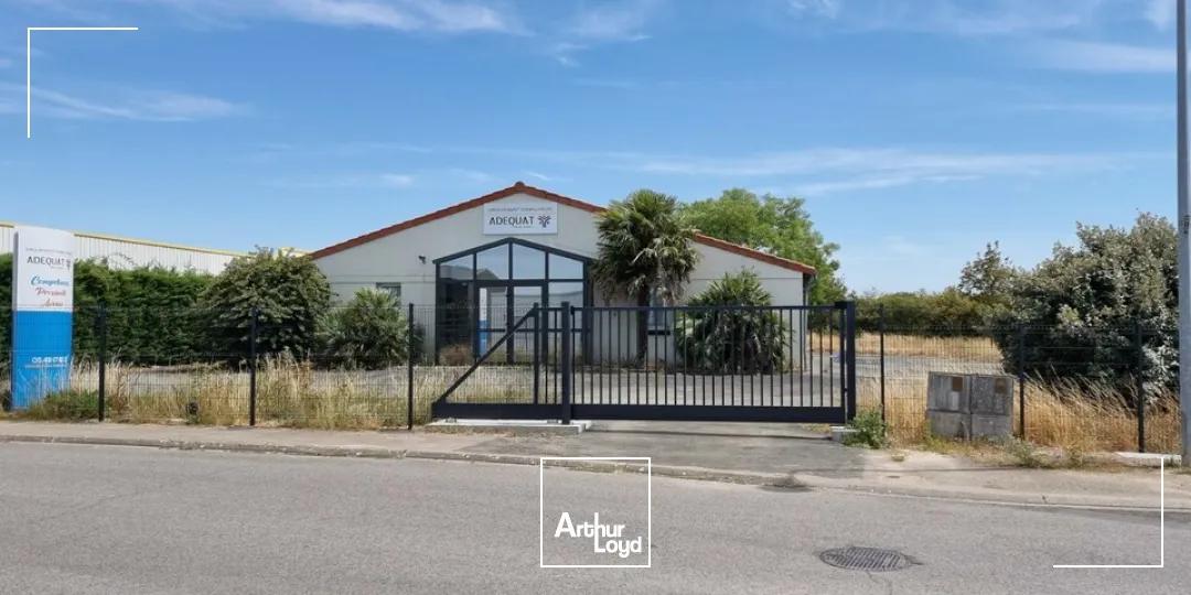 Bureaux - Location - NIORT - 79000 - 217-217 - 7800047
