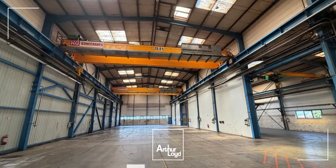 Locaux d'activité & Entrepôts - Location - BELIGNEUX - 01360 - 1570-3480 - 7800684