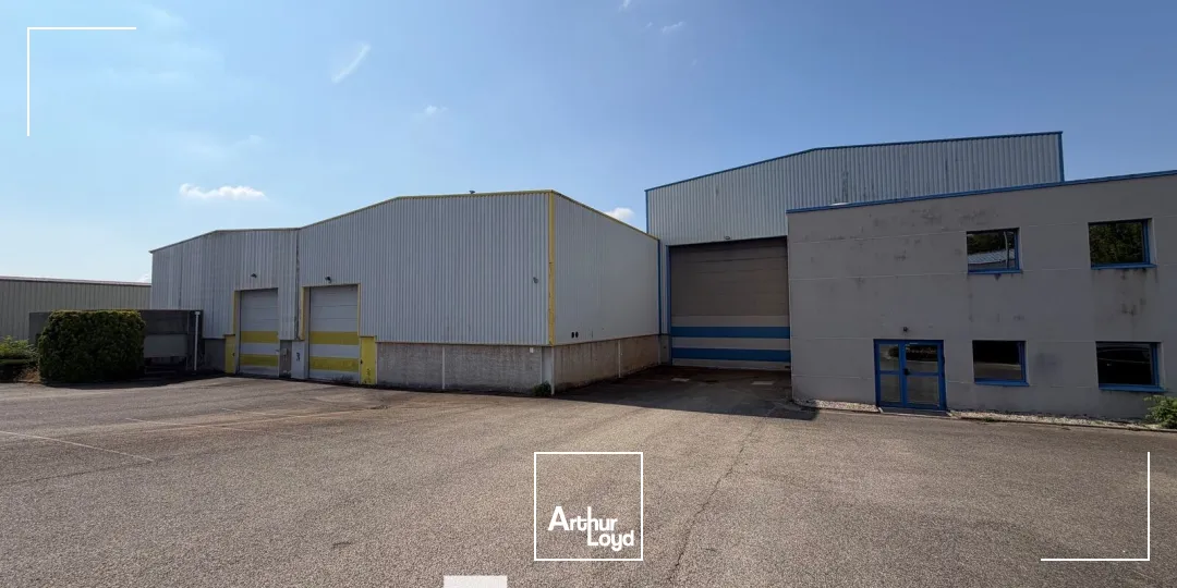 Locaux d'activité & Entrepôts - Location - BELIGNEUX - 01360 - 1570-3480 - 7800682