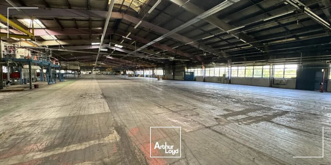 Locaux d'activité & Entrepôts - Vente - NAZELLES-NÉGRON - 37530 - 25000-25000 - 7800872