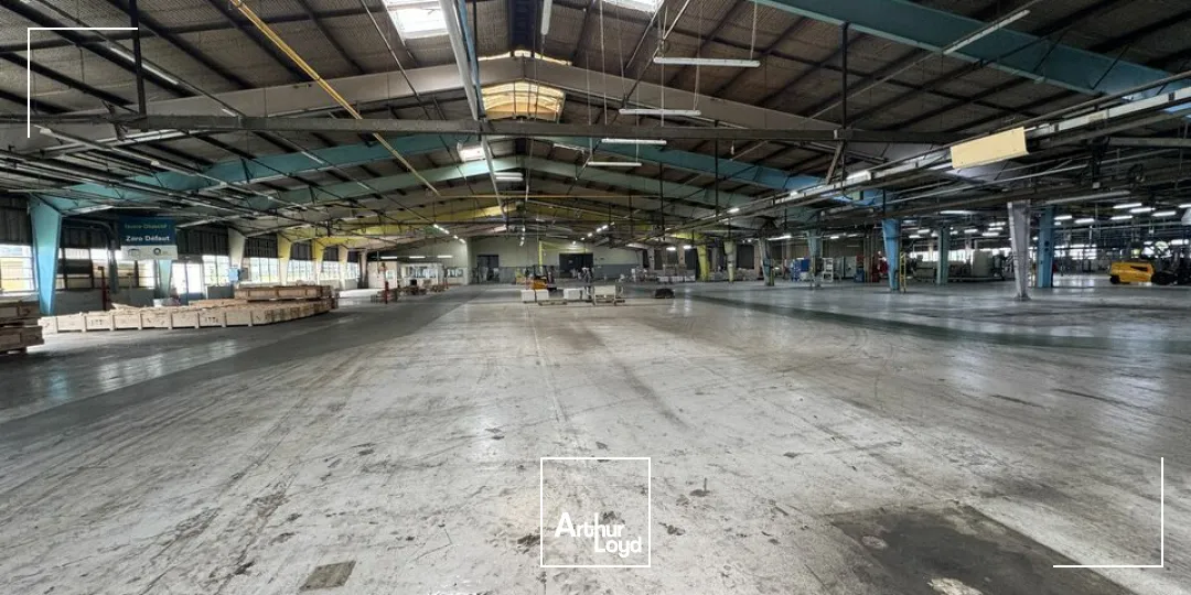 Locaux d'activité & Entrepôts - Vente - NAZELLES-NÉGRON - 37530 - 25000-25000 - 7800873