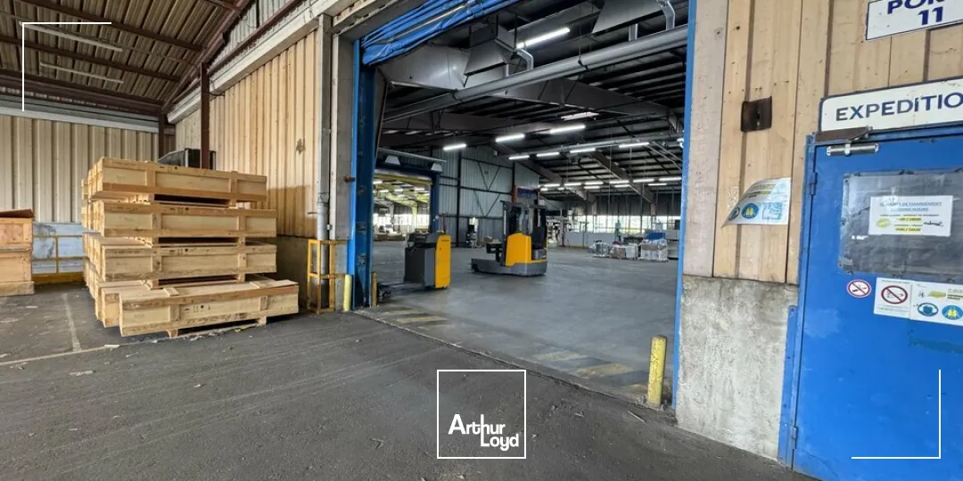 Locaux d'activité & Entrepôts - Vente - NAZELLES-NÉGRON - 37530 - 25000-25000 - 7800874