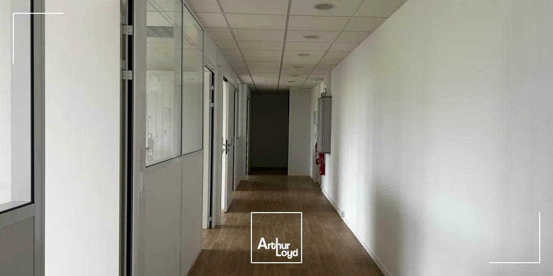 Bureaux - Location - BORDEAUX - 33000 - 50.96-1116.2 - 7801013